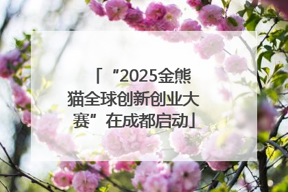 “2025金熊猫全球创新创业大赛”在成都启动