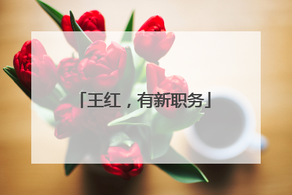 王红，有新职务
