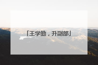 王学勤，升副部