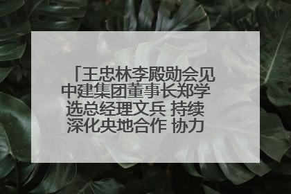 王忠林李殿勋会见中建集团董事长郑学选总经理文兵 持续深化央地合作 协力推动支点建设