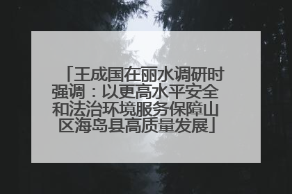王成国在丽水调研时强调：以更高水平安全和法治环境服务保障山区海岛县高质量发展
