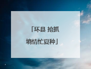 环县 抢抓墒情忙夏种