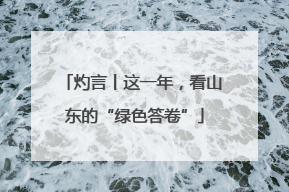 灼言丨这一年，看山东的“绿色答卷”