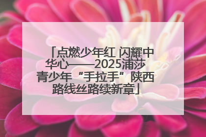 点燃少年红 闪耀中华心——2025浦莎青少年“手拉手”陕西路线丝路续新章
