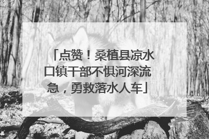 点赞！桑植县凉水口镇干部不惧河深流急，勇救落水人车