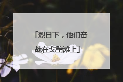 烈日下，他们奋战在戈壁滩上