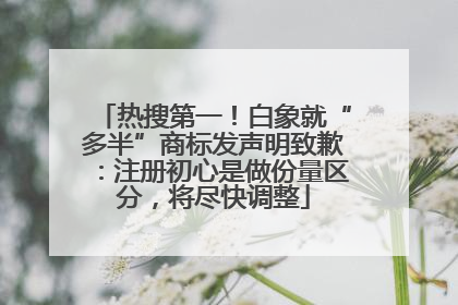 热搜第一！白象就“多半”商标发声明致歉：注册初心是做份量区分，将尽快调整