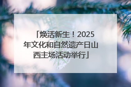 焕活新生！2025年文化和自然遗产日山西主场活动举行