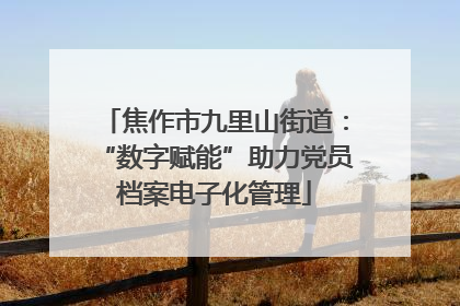 焦作市九里山街道：“数字赋能”助力党员档案电子化管理