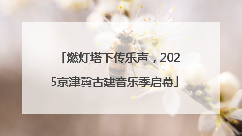 燃灯塔下传乐声，2025京津冀古建音乐季启幕