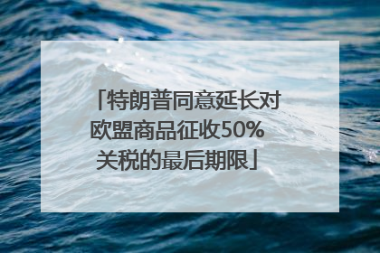 特朗普同意延长对欧盟商品征收50%关税的最后期限