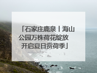 石家庄鹿泉丨海山公园万株荷花绽放 开启夏日赏荷季