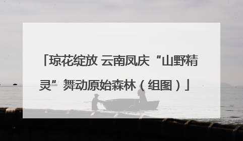 琼花绽放 云南凤庆“山野精灵”舞动原始森林（组图）