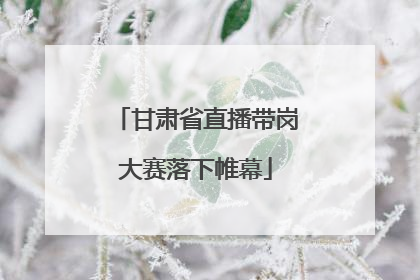 甘肃省直播带岗大赛落下帷幕