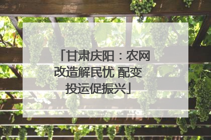甘肃庆阳：农网改造解民忧 配变投运促振兴