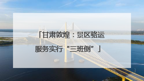 甘肃敦煌：景区骆运服务实行“三班倒”