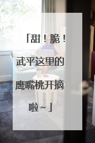 甜！脆！武平这里的鹰嘴桃开摘啦～