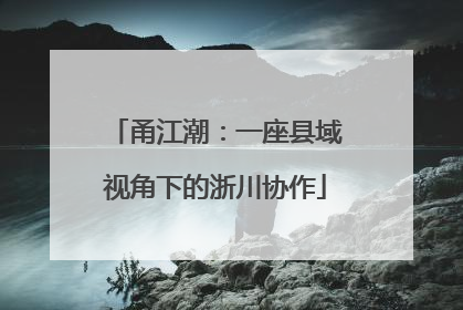 甬江潮：一座县域视角下的浙川协作