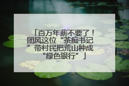 百万年薪不要了！团风这位“茶痴书记”带村民把荒山种成“绿色银行”