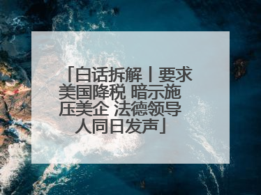 白话拆解丨要求美国降税 暗示施压美企 法德领导人同日发声