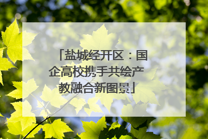 盐城经开区：国企高校携手共绘产教融合新图景