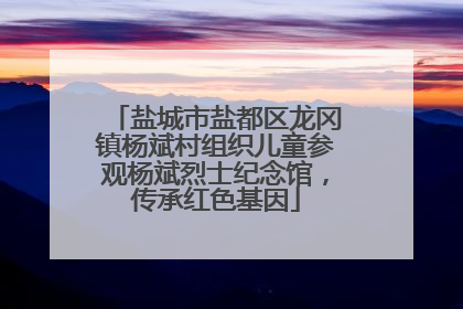 盐城市盐都区龙冈镇杨斌村组织儿童参观杨斌烈士纪念馆，传承红色基因