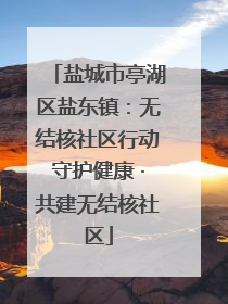 盐城市亭湖区盐东镇：无结核社区行动守护健康 ·共建无结核社区
