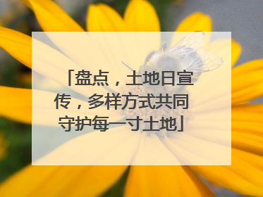 盘点，土地日宣传，多样方式共同守护每一寸土地