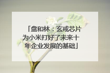 盘和林：玄戒芯片为小米打好了未来十年企业发展的基础