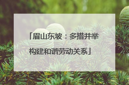 眉山东坡：多措并举构建和谐劳动关系