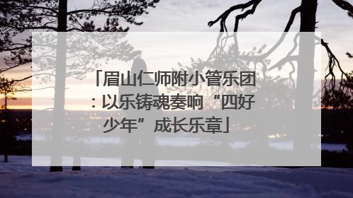 眉山仁师附小管乐团：以乐铸魂奏响“四好少年”成长乐章