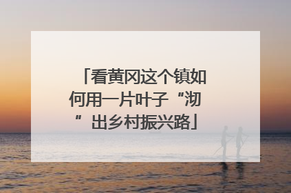 看黄冈这个镇如何用一片叶子“沏”出乡村振兴路