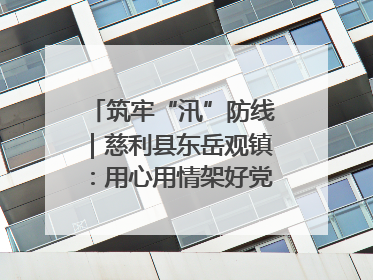 筑牢“汛”防线｜慈利县东岳观镇：用心用情架好党群温暖悠长的“连心桥”