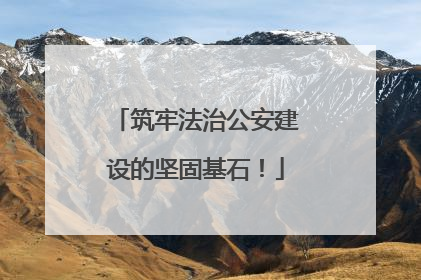 筑牢法治公安建设的坚固基石！