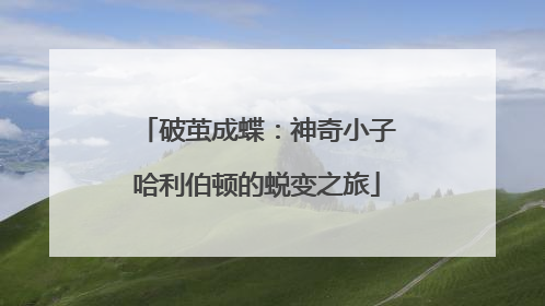 破茧成蝶：神奇小子哈利伯顿的蜕变之旅