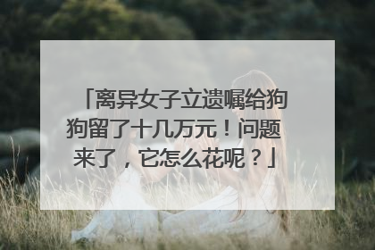 离异女子立遗嘱给狗狗留了十几万元！问题来了，它怎么花呢？