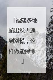 福建多地蛇出没！遇到别慌，这样做能保命