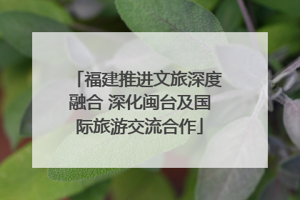 福建推进文旅深度融合 深化闽台及国际旅游交流合作