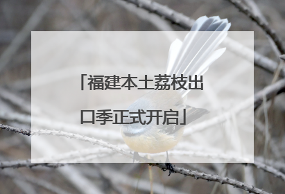 福建本土荔枝出口季正式开启
