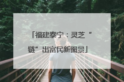 福建泰宁：灵芝“链”出富民新图景