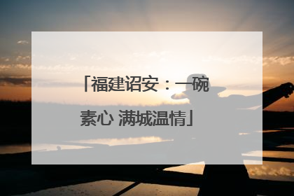 福建诏安：一碗素心 满城温情