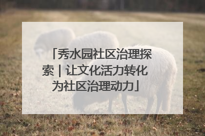 秀水园社区治理探索｜让文化活力转化为社区治理动力