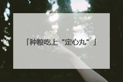 种粮吃上“定心丸”