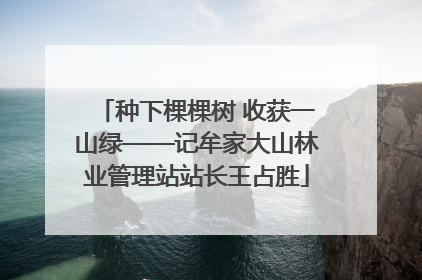 种下棵棵树 收获一山绿——记牟家大山林业管理站站长王占胜