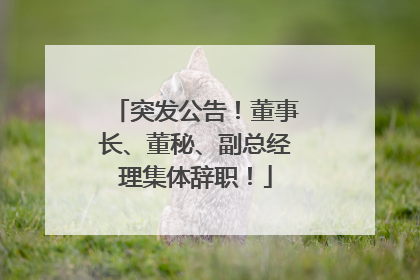 突发公告！董事长、董秘、副总经理集体辞职！