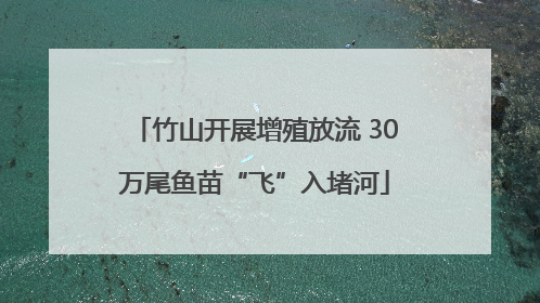 竹山开展增殖放流 30万尾鱼苗“飞”入堵河