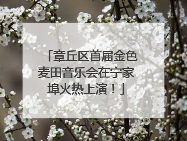章丘区首届金色麦田音乐会在宁家埠火热上演！