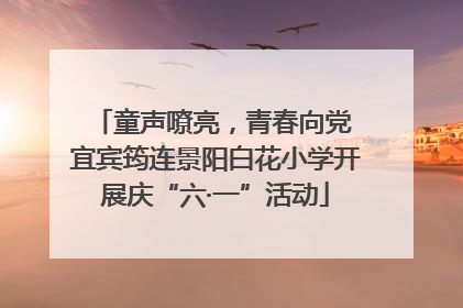 童声嘹亮，青春向党 宜宾筠连景阳白花小学开展庆“六·一”活动