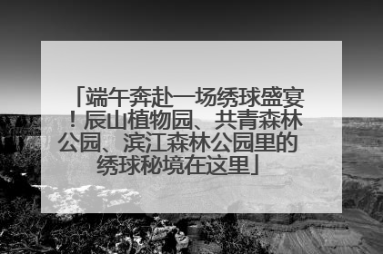 端午奔赴一场绣球盛宴！辰山植物园、共青森林公园、滨江森林公园里的绣球秘境在这里