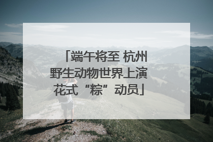 端午将至 杭州野生动物世界上演花式“粽”动员
